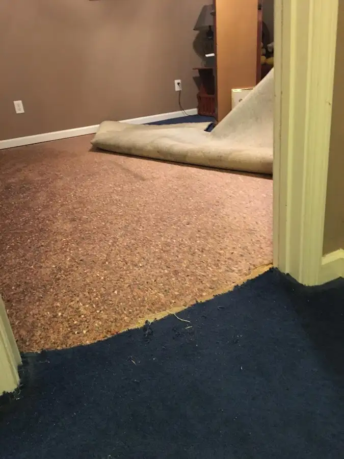 Carpet pad removal revealing water damage during Water Mitigation Services in Verona