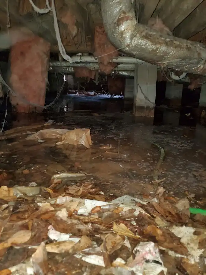 Crawl space flood assessment for Leak Detection & Repair in Verona