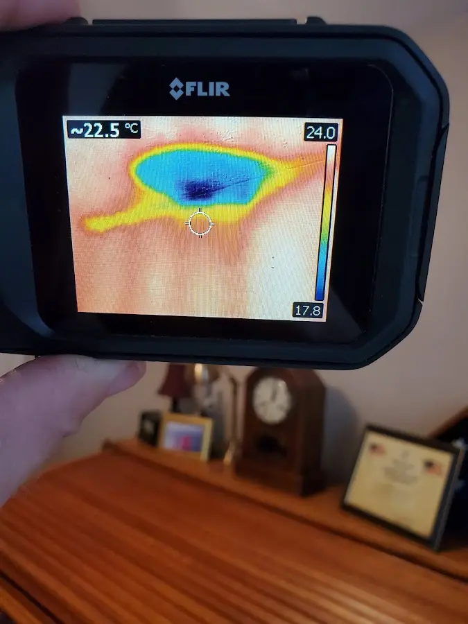 Thermal imaging inspection for water damage in Verona
