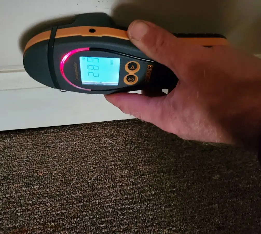 Moisture detection at baseboard during Burst Pipe Cleanup in Verona